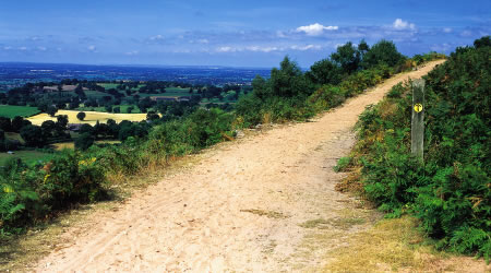 Bickerton Hill