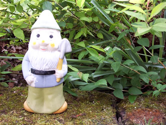 The Garden Gnome