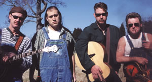 Hayseed Dixie