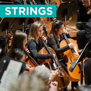 Strings