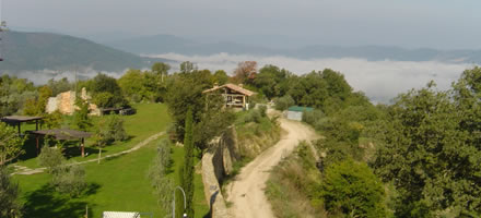 The view from Monestevole