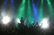 New Model Army