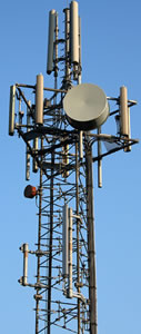 Phone Mast