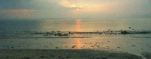 Portmahomack Bay