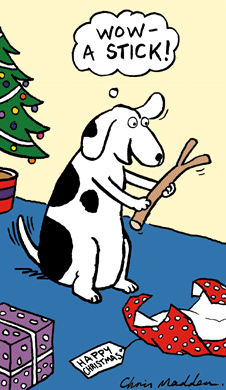 Stick