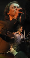 The Bluetones
